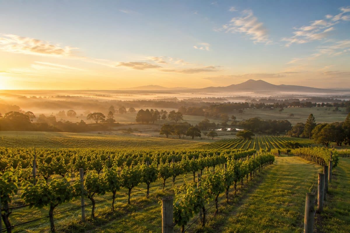 Hunter Valley