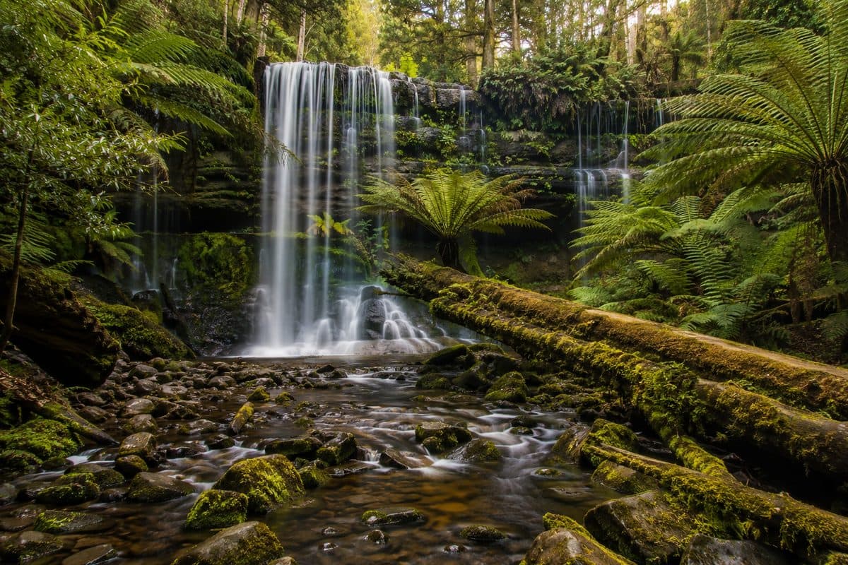 Mount Field National Park
