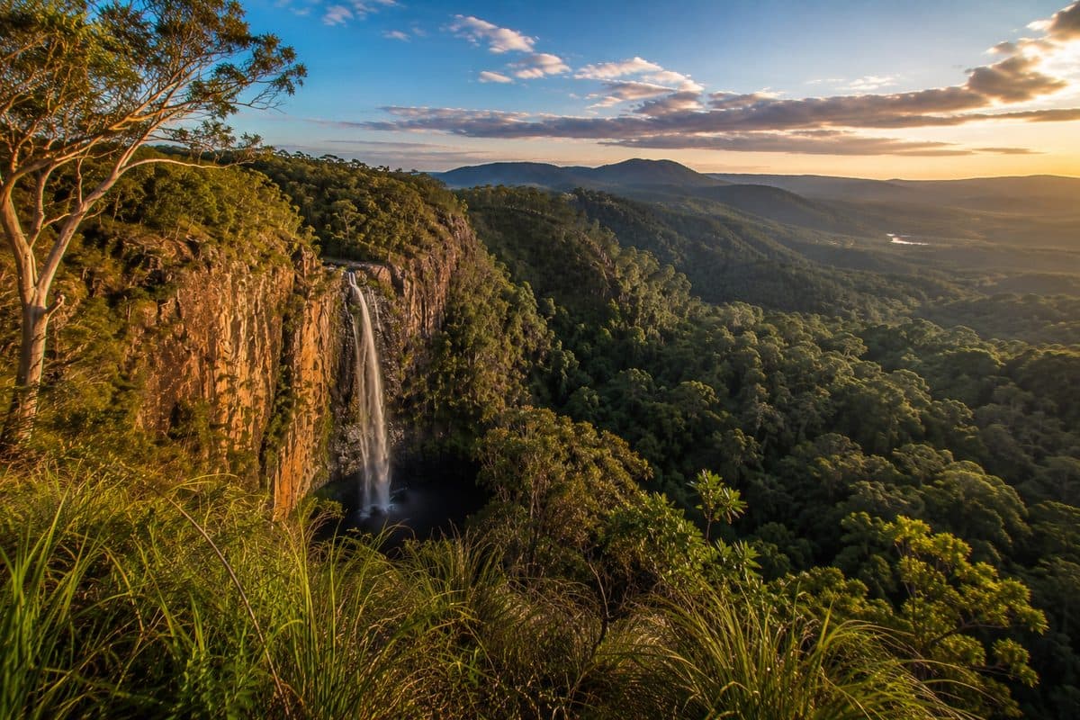 Springbrook National Park