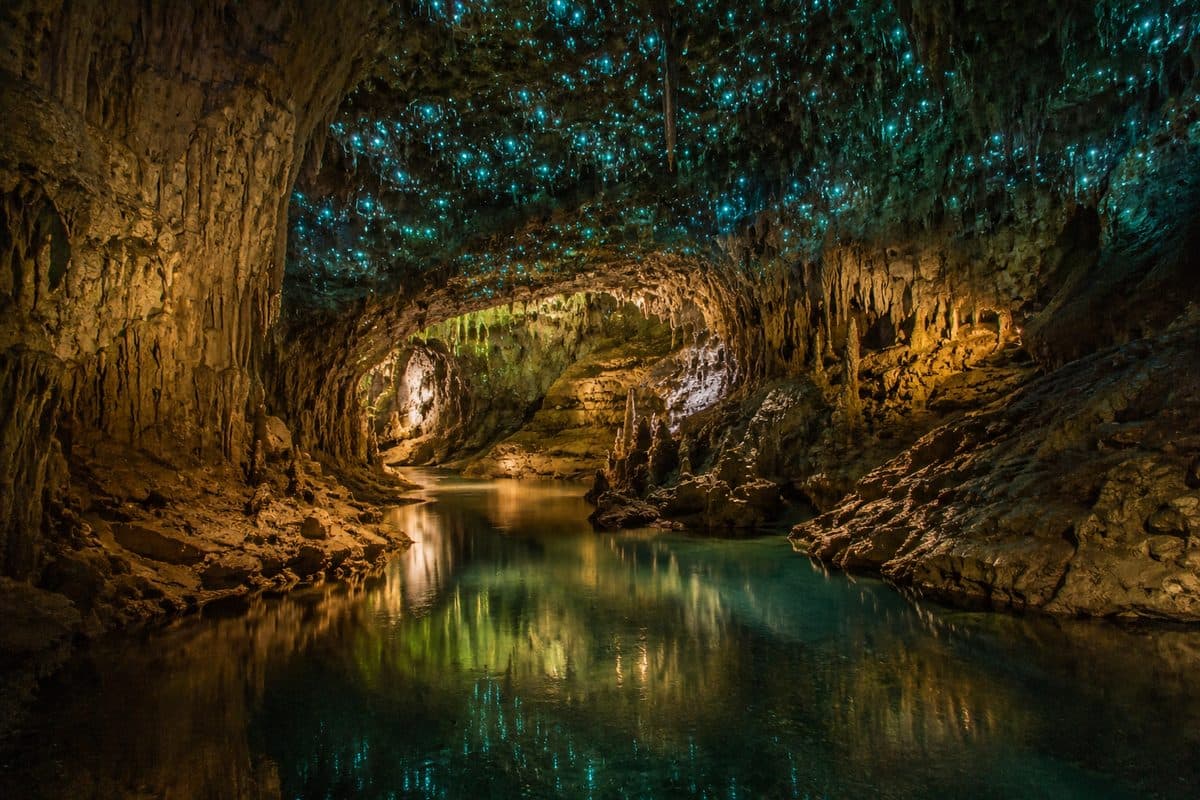 Waitomo Caves